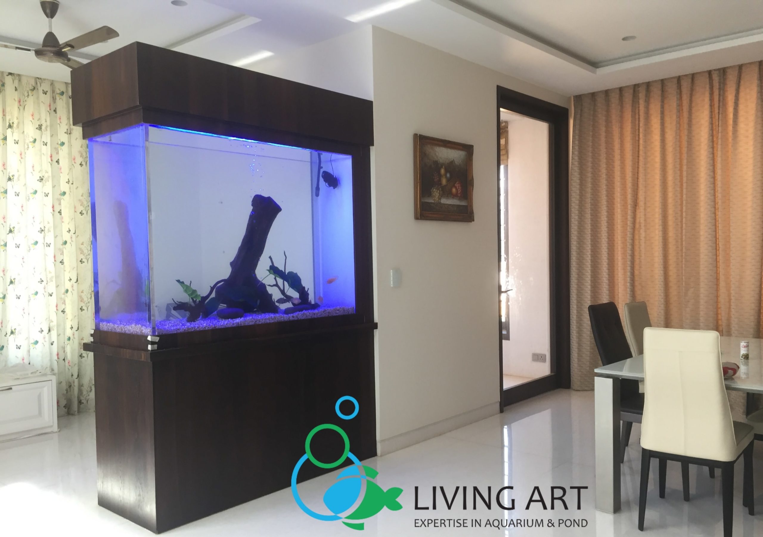 Residential Aquarium