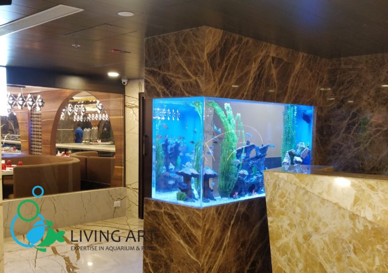 Commercial Fish Tank Aquarium in Chennai, India