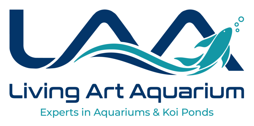 custome aquarium