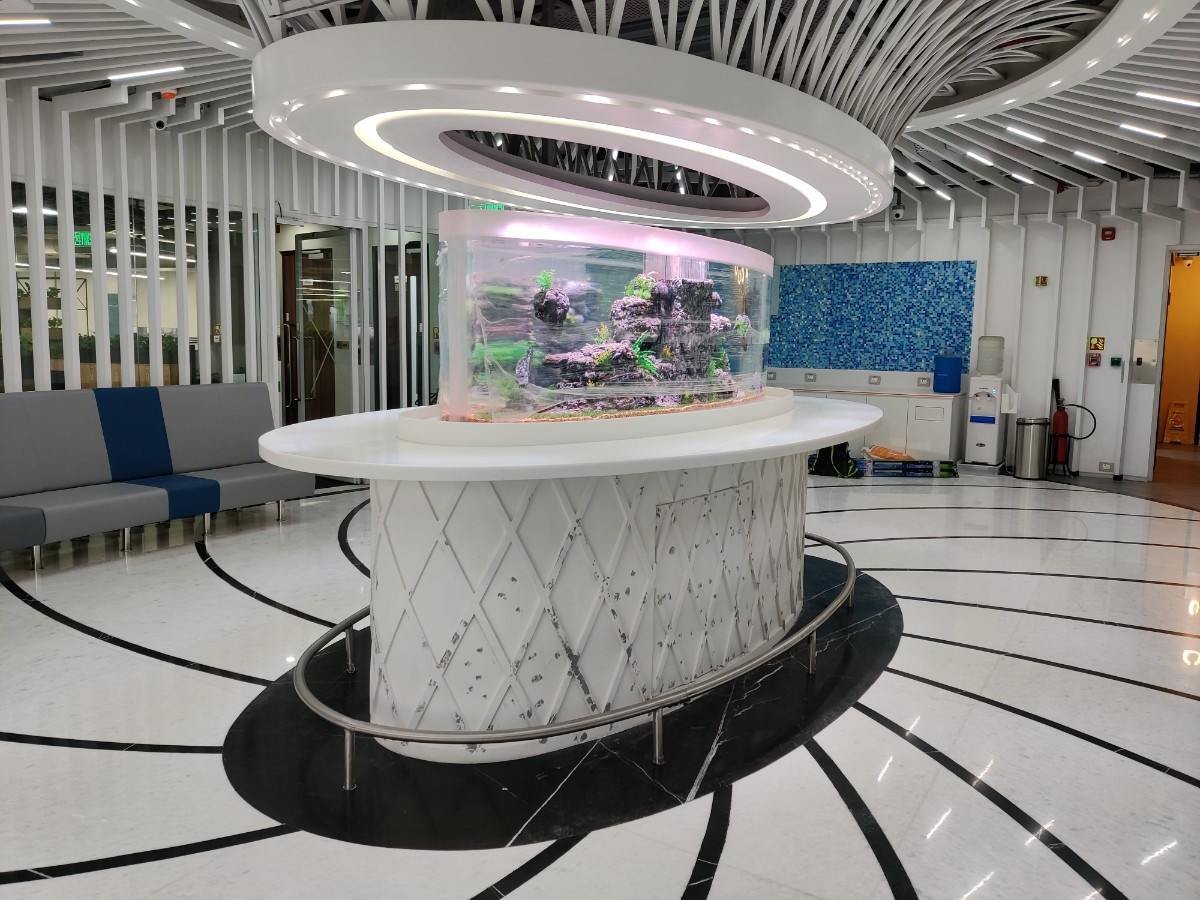 Curved custom aquarium designed for a reception area in Chennai