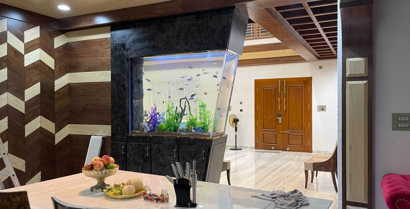 Custom aquarium designed for a living space in Chennai