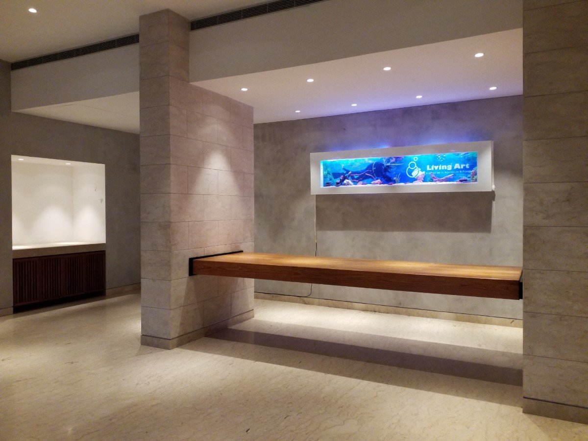 Custom wall-mounted aquarium design and installation in Chennai